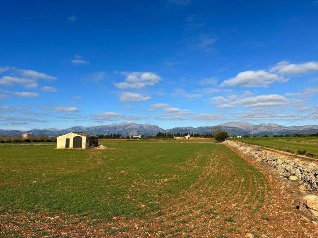 Terreno en Venta en Llubí