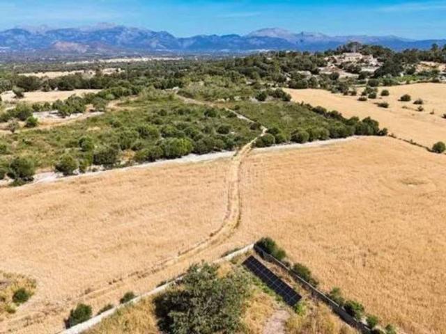 Terreno en Venta en Llubí