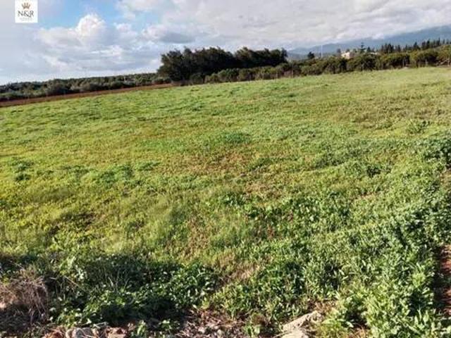 Terreno en Venta en Llubí