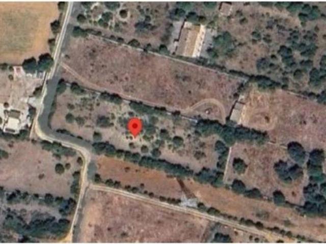 Terreno en Venta en Llubí
