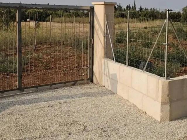 Terreno en Venta en Llubí