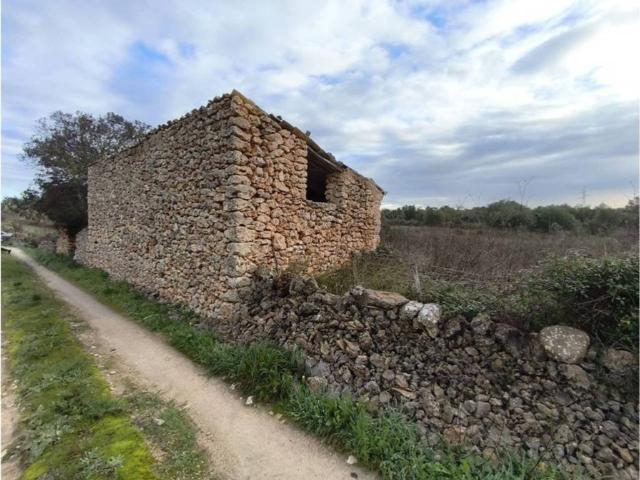 Terreno en Venta en Llubí