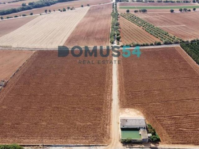 Terreno en Venta en Llubí