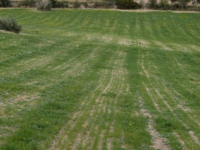 Terreno en Venta en Llubí