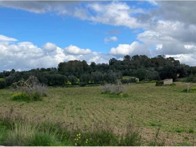 Terreno en Venta en Llubí