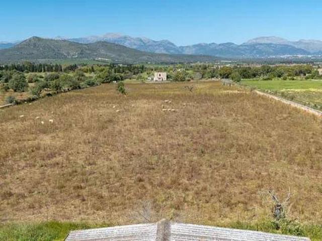 Terreno en Venta en Llubí