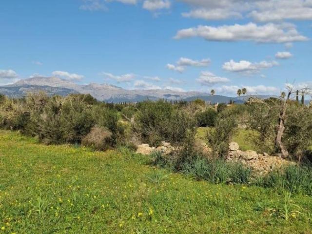 Terreno en Venta en Llubí