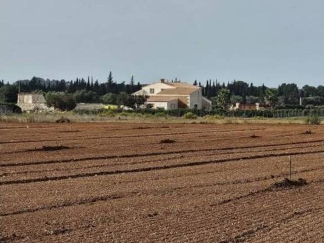 Terreno en Venta en Llubí