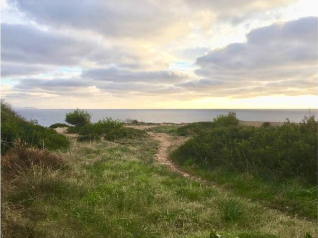 Terreno en Venta en Llucmajor