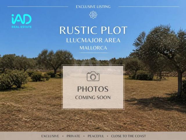 Terreno en Venta en Llucmajor