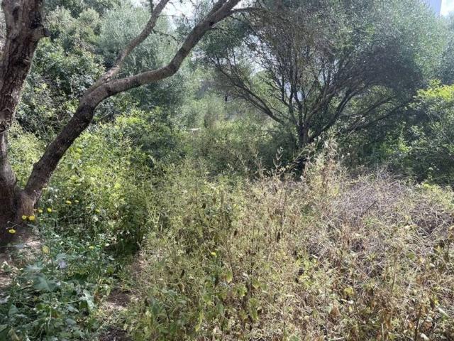 Terreno en Venta en Llucmajor