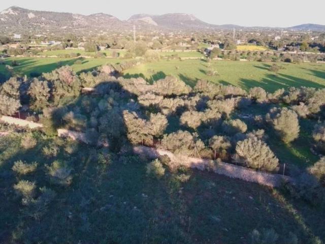 Terreno en Venta en Llucmajor