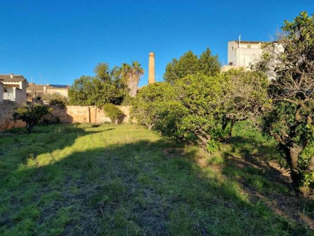 Terreno en Venta en Llucmajor