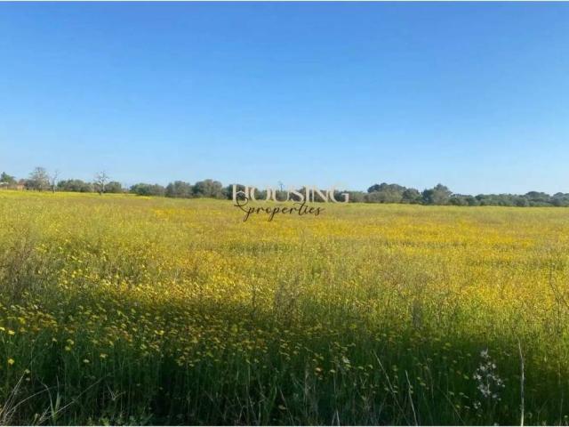 Terreno en Venta en Llucmajor