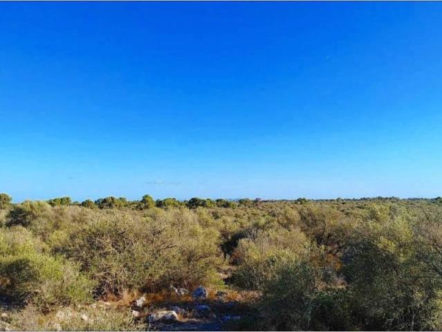 Terreno en Venta en Llucmajor