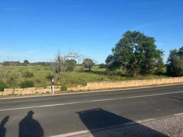 Terreno en Venta en Llucmajor