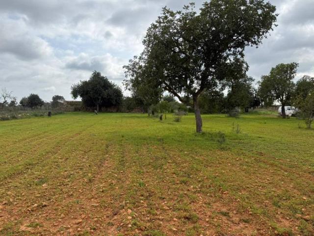 Terreno en Venta en Llucmajor