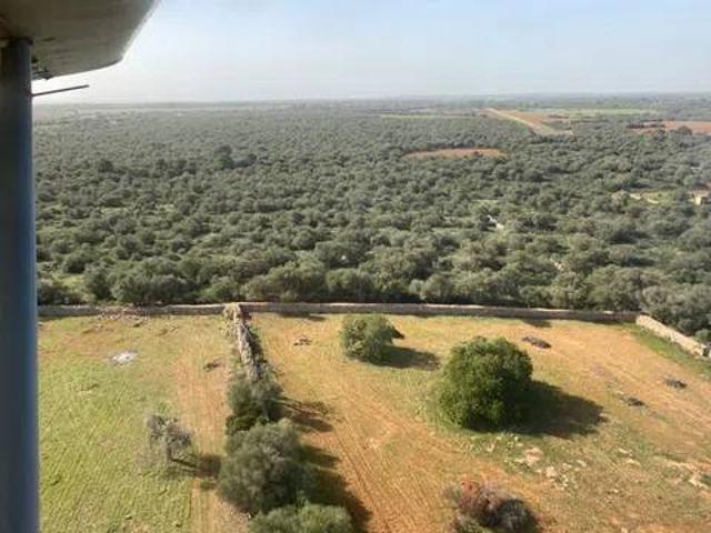 Terreno en Venta en Llucmajor