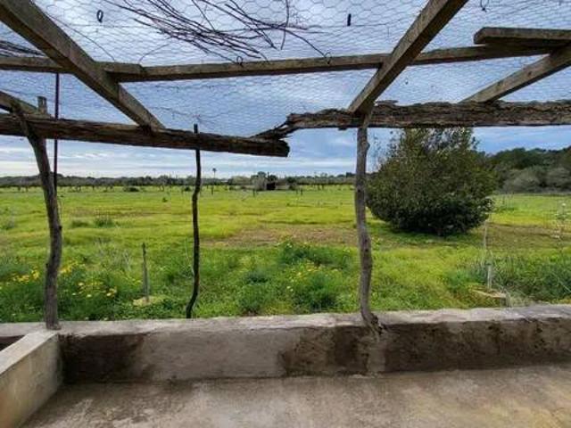 Terreno en Venta en Llucmajor