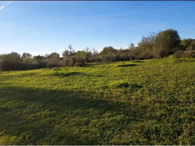 Terreno en Venta en Llucmajor