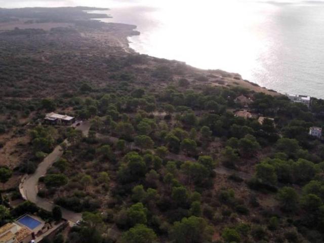 Terreno en Venta en Llucmajor
