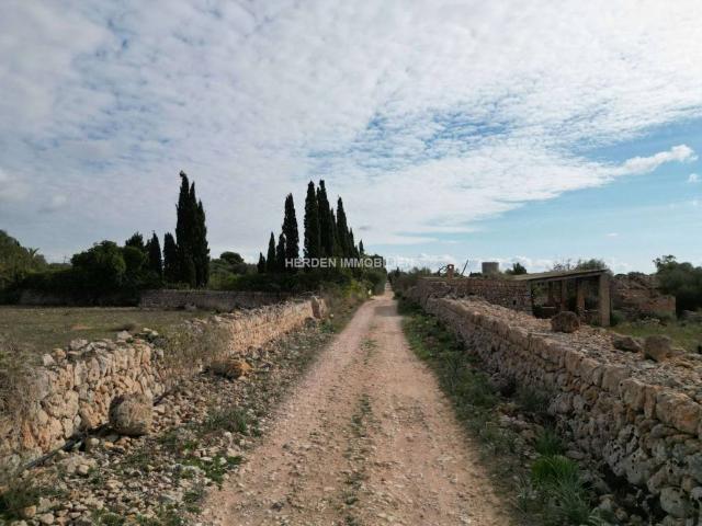 Terreno en Venta en Llucmajor