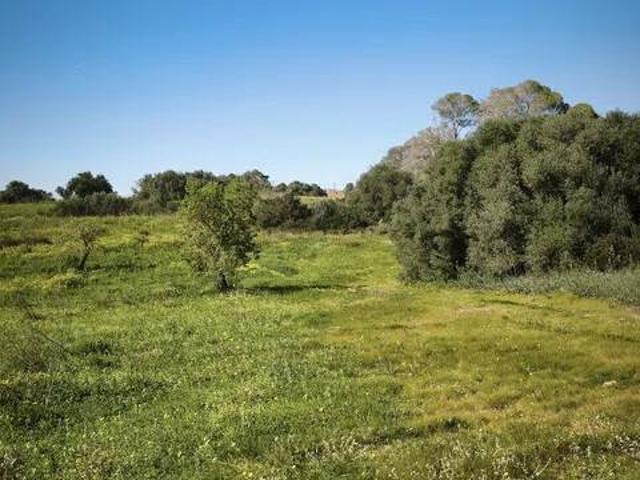 Terreno en Venta en Llucmajor