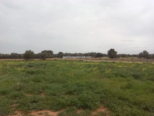 Terreno en venta en Llucmajor, Llucmajor