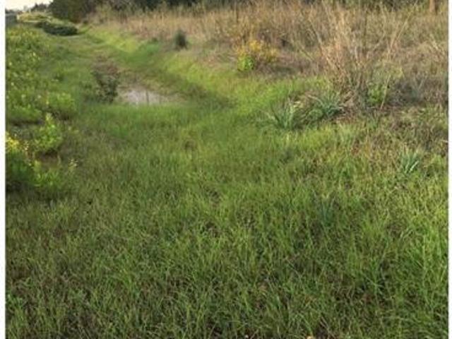 Terreno en venta en Llucmajor, Llucmajor Campo