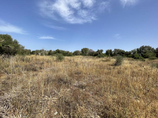 Terreno en venta en Llucmajor, Son Garcías