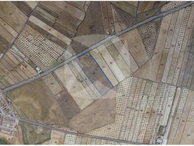 Terreno en Venta en Lobón