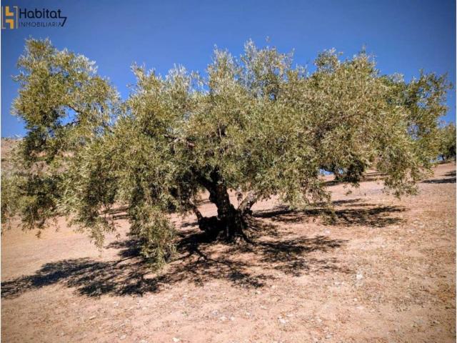 Terreno en Venta en Loja