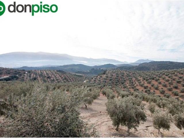 Terreno en Venta en Loja