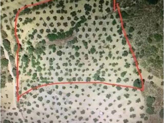 Terreno en Venta en Loja