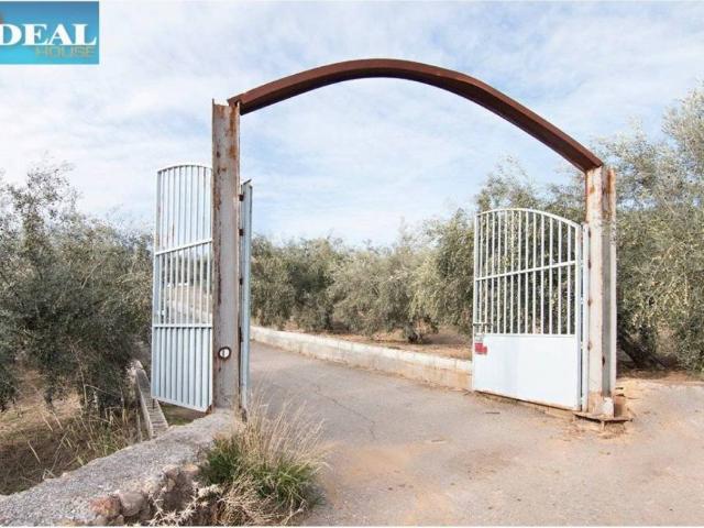 Terreno en Venta en Loja