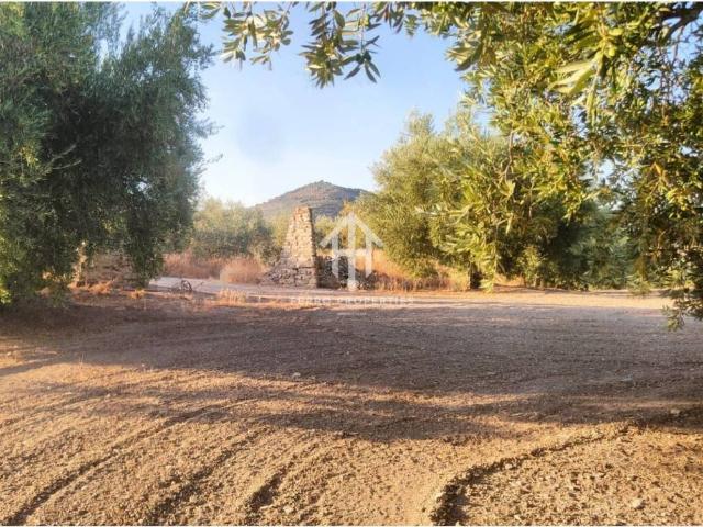 Terreno en Venta en Loja