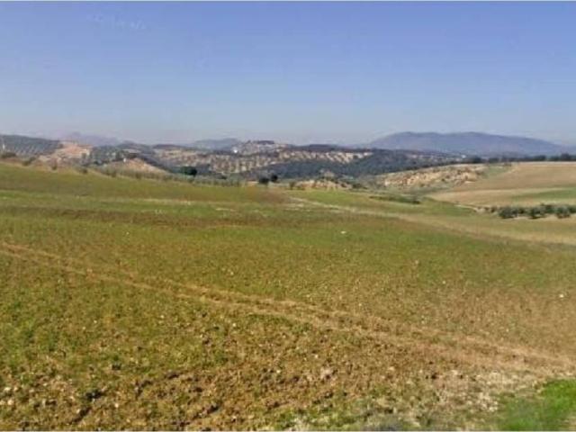 Terreno en Venta en Loja