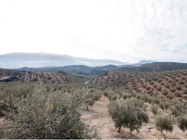 Terreno en Venta en Loja