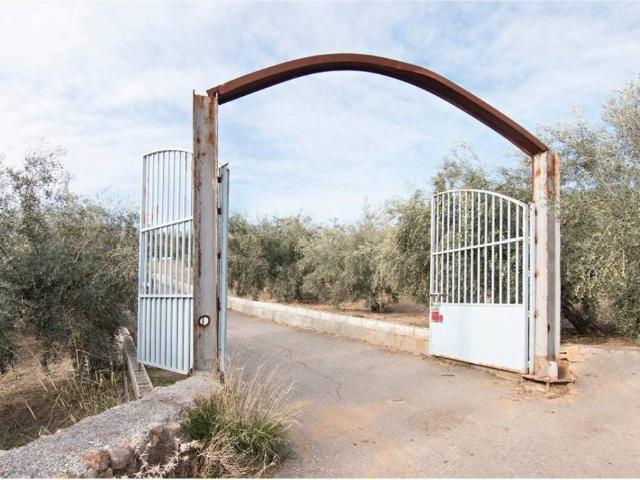 Terreno en Venta en Loja