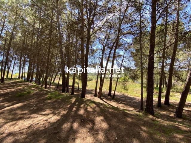 Terreno en Venta en L'Olleria