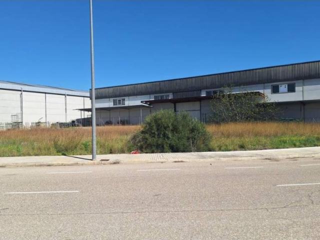 Terreno en Venta en L'Olleria