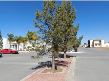 Terreno en Venta en Loma Alta, Saltillo, Coahuila de Zaragoza