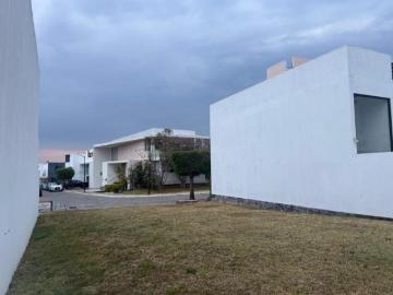 Terreno en venta en Lomas de Angelópolis – Parque Guanajuato
