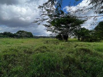 Terreno en Venta en los Arenales Xalapa Veracruz