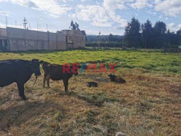 Terreno en venta en Los Baños Del Inca a S/1,242,500