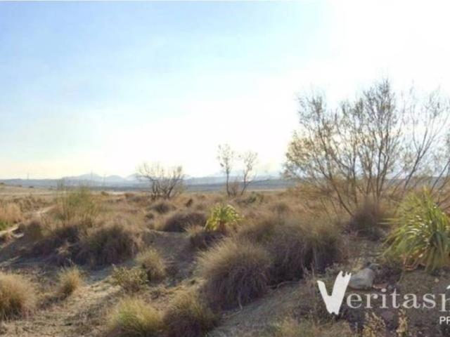 Terreno en Venta en Los Gallardos