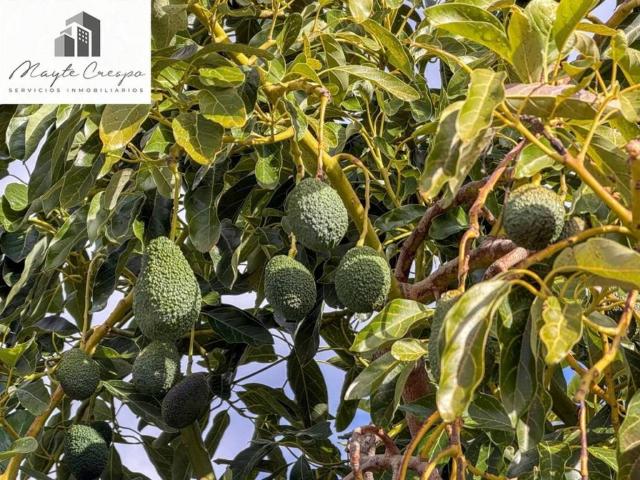 Terreno en Venta en Los Guájares