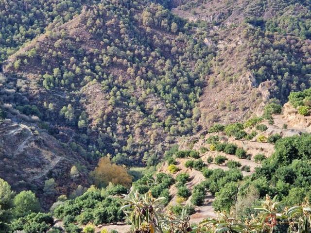 Terreno en Venta en Los Guájares
