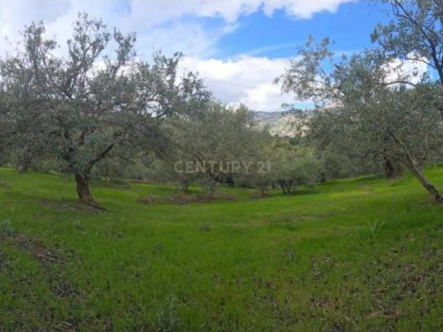 Terreno en Venta en Los Guájares