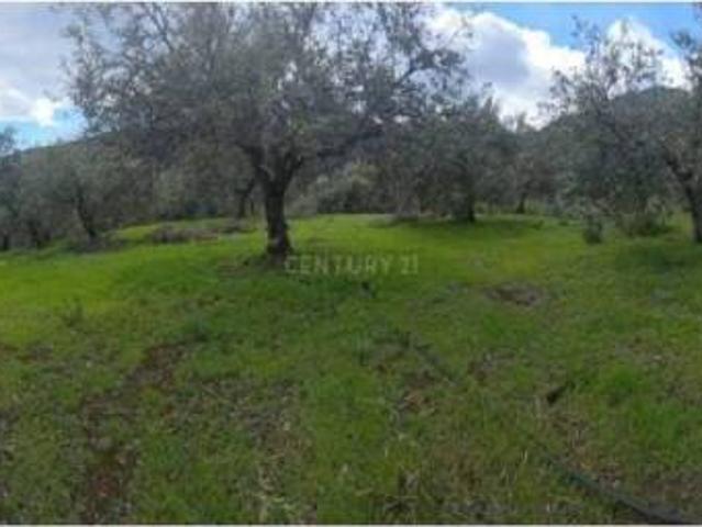 Terreno en Venta en Los Guájares